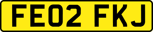 FE02FKJ