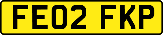 FE02FKP