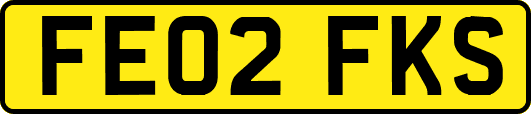 FE02FKS