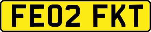 FE02FKT
