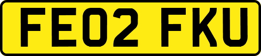 FE02FKU