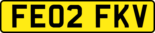 FE02FKV