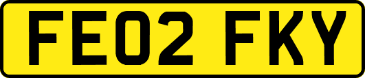FE02FKY