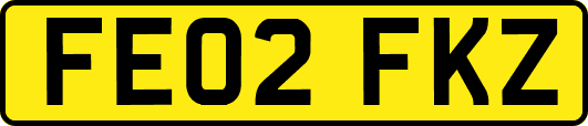 FE02FKZ