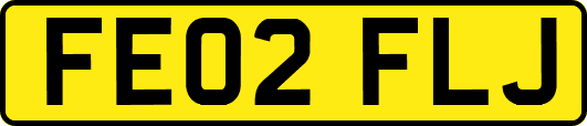 FE02FLJ