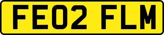 FE02FLM
