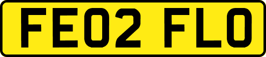 FE02FLO