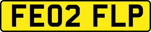 FE02FLP