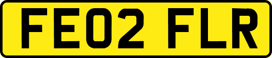 FE02FLR