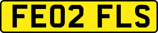 FE02FLS