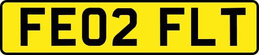 FE02FLT
