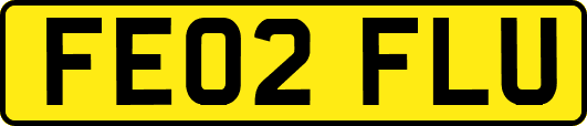 FE02FLU