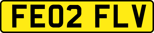FE02FLV
