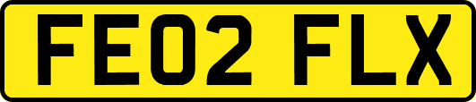 FE02FLX