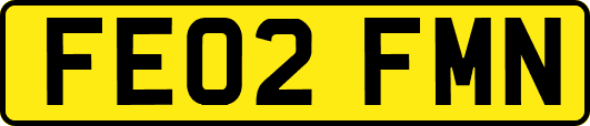 FE02FMN