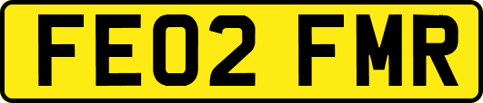 FE02FMR