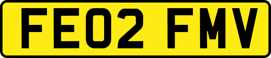 FE02FMV