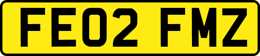 FE02FMZ