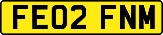 FE02FNM