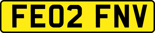 FE02FNV