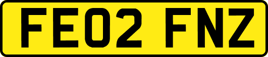 FE02FNZ