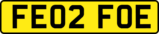 FE02FOE