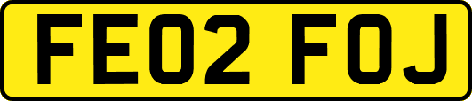FE02FOJ