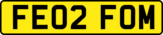 FE02FOM