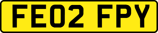FE02FPY