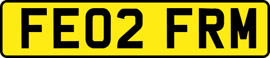 FE02FRM