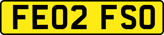 FE02FSO