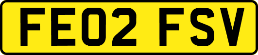 FE02FSV
