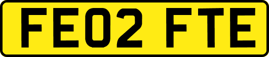 FE02FTE