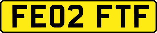 FE02FTF