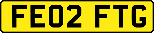 FE02FTG