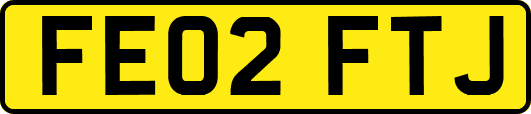 FE02FTJ