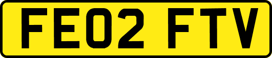 FE02FTV