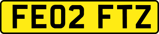 FE02FTZ