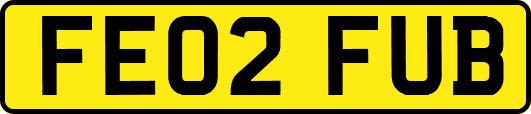 FE02FUB
