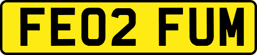 FE02FUM