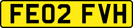 FE02FVH