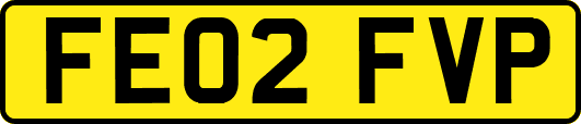 FE02FVP