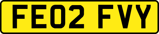 FE02FVY