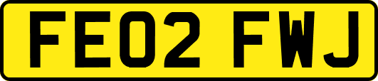 FE02FWJ