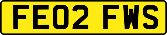 FE02FWS