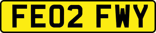 FE02FWY