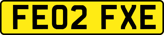 FE02FXE