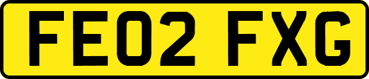 FE02FXG