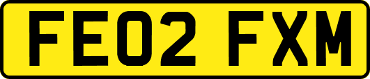 FE02FXM