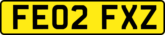 FE02FXZ